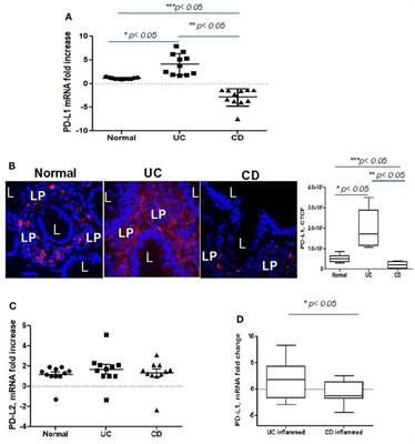 Expression of Programmed Death-Ligand 1 by Human Colonic CD90+ Stromal Cells Differs Between Ulcerative Colitis and Crohn’s Disease and Determines Their Capacity to Suppress Th1 Cells